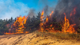 В России не умеют подсчитывать ущерб экологии от пожаров